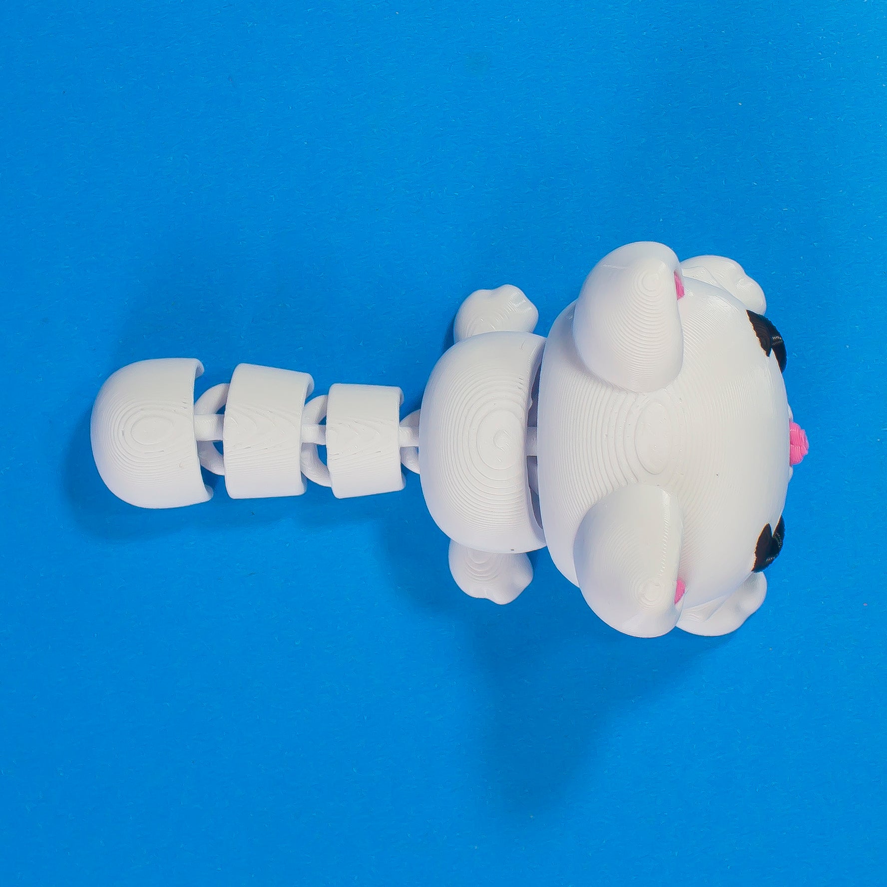 Catz Toy – Your Adorable Mini Explorer